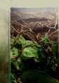 /album/teraria/a23t-jpg/